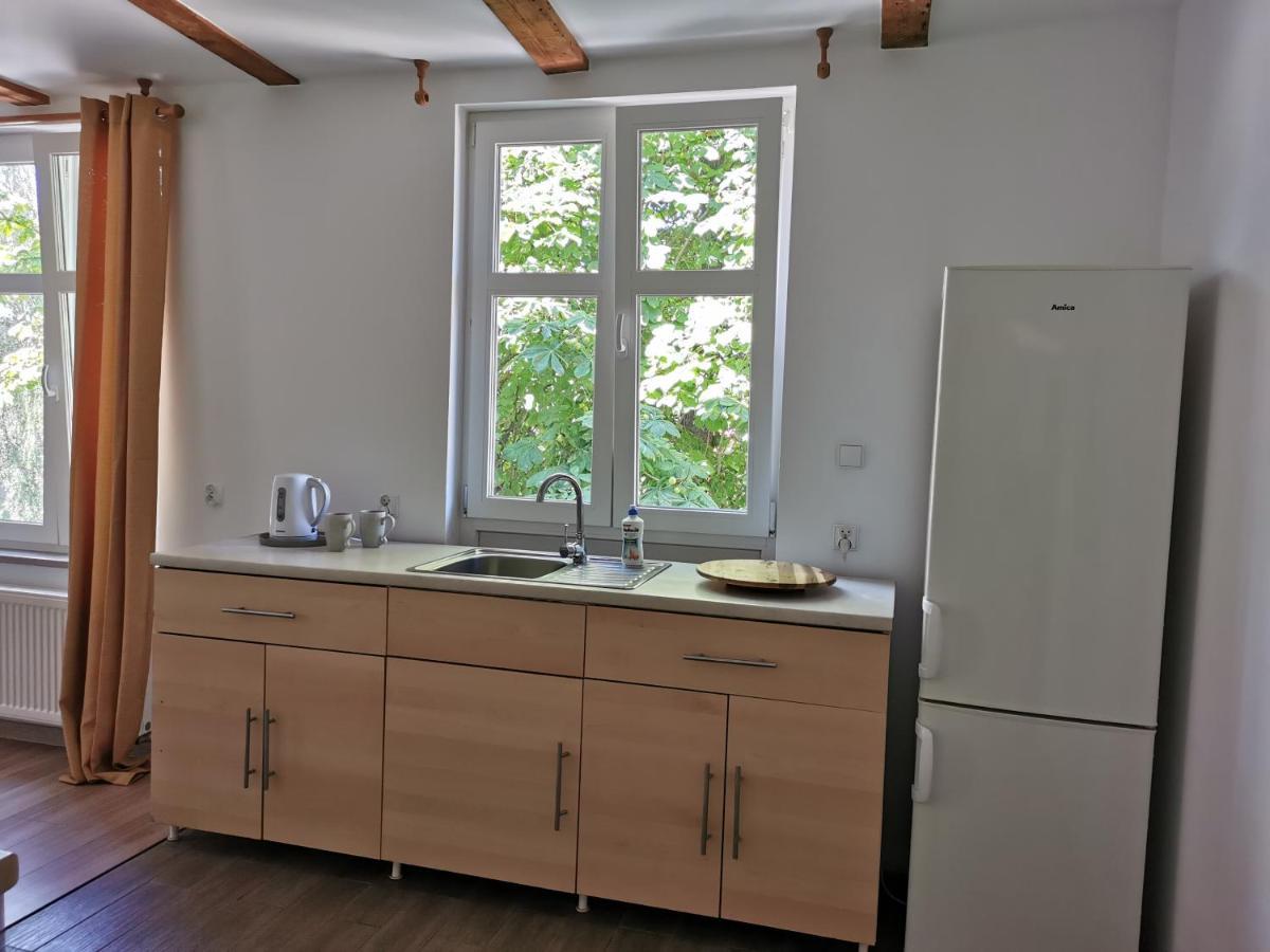 Apartamenty Jeziorna 8 Z Widokiem Na Czos Мронгово Экстерьер фото